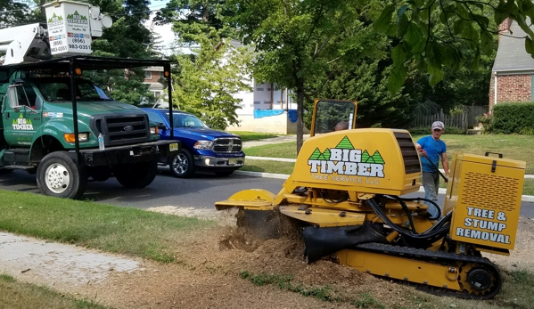 Big Timber Tree Service LLC - Marlton, NJ. Big Timber Tree Service able to grind any size stump and through a gate into the backyard no problem