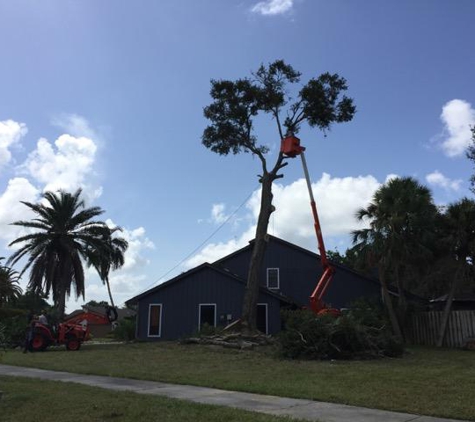 All Florida Tree Care - Sarasota, FL