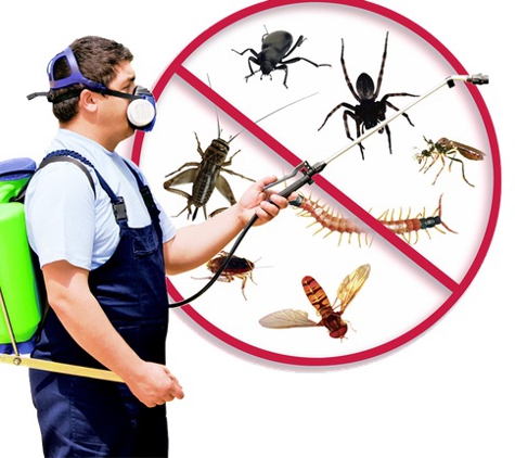 Jones Pest Control - Kalispell, MT