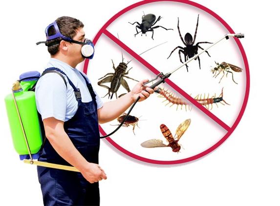 Plunkett's Pest Control Service - Fairmont, MN