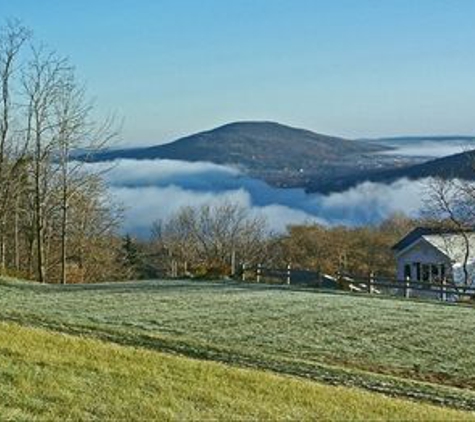 Bristol Views Bed & Breakfast - Naples, NY