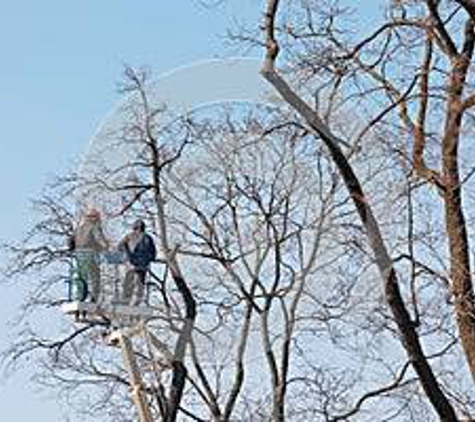 A&M Tree Services LLC - Saint Charles, MO