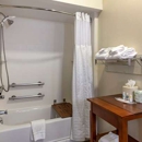 Comfort Suites Raleigh Walnut Creek - Motels