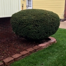 ABC Lawn Care & Landscaping - Landscaping & Lawn Services