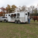 Rogersville Horse Transportation - Horse Transporting