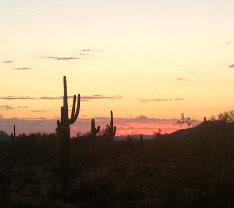 Desert Willow Park - Phoenix, AZ