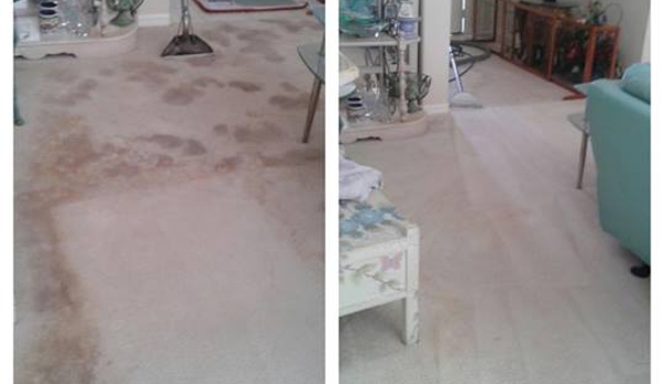 Extra Care Carpet and Tile Cleaning - Orlando, FL