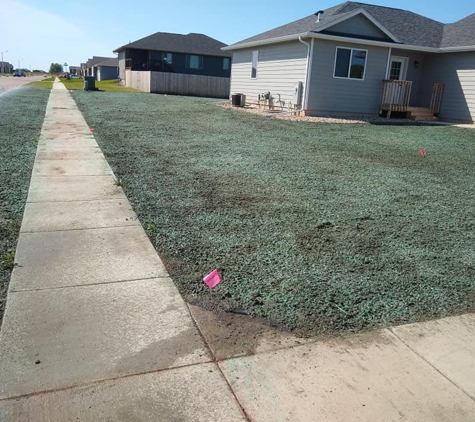 Rapid Creek Sod