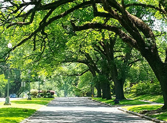 Trembling Trees Tree Service - Detroit, MI