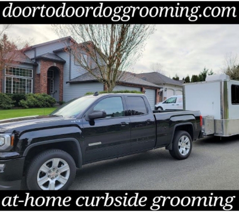 Door-to-Door Dog Grooming - Puyallup, WA