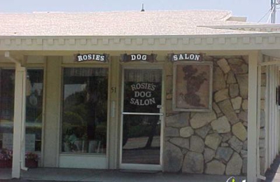 rosie's dog salon