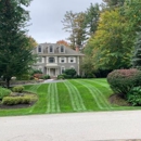 In The Weeds Turf Care
