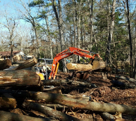 All tree pro removal and pruning L.L.C - Beech Island, SC