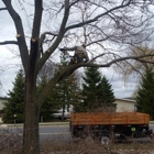 Organic Tree Service