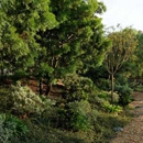 Mariposa Landscape & Tree Service, Inc. - Landscape Contractors