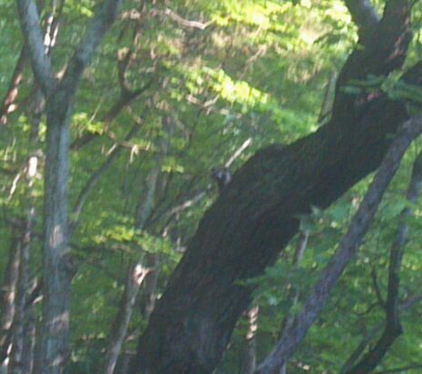 Glen Helen Nature Preserve - Yellow Springs, OH