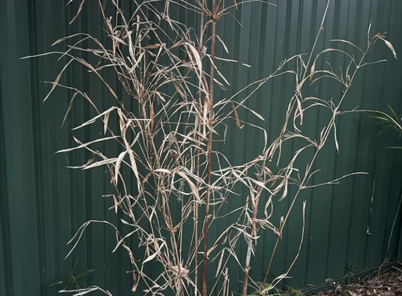 New Leaf Nursery & Landscapes - Ingleside, NSW
