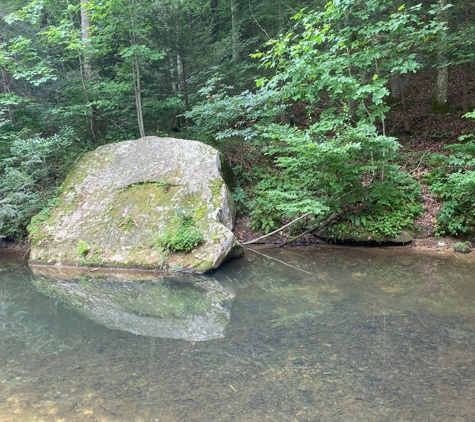 Kanawha State Forest - Charleston, WV