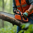 Randall Brothers Tree Service - Tree Service