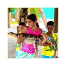 Everglades Excursions - Nature Centers