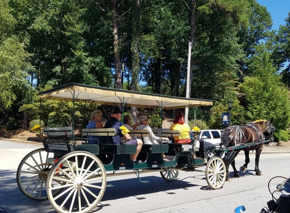 Two Tire Tavern - Helen, GA