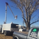 Ernestos  Tree Service - Tree Service