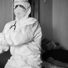 Midwest Bed Bug Services gallery