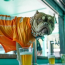 Wagbar Knox