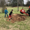 Arreguin & sons stump grinding gallery