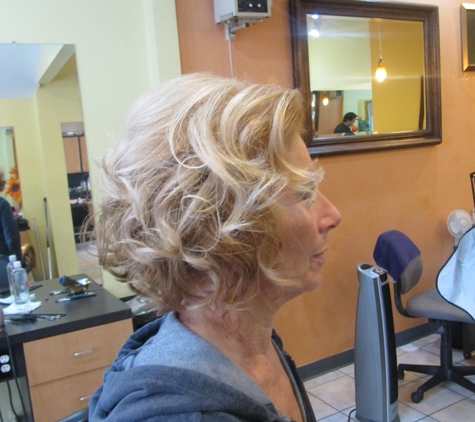 E. Forlini salon - Saint Clair Shores, MI