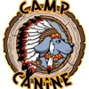 Camp Canine gallery