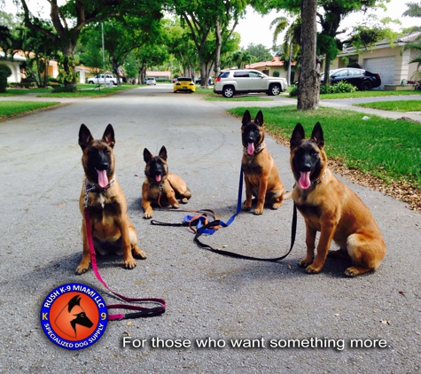 Rush K9 Doral - Doral, FL