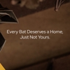CP Bat Mitigation gallery