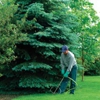 Liquid Green Turf & Tree Care gallery