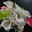 Forever Wedding Designs - Flowers, Plants & Trees-Silk, Dried, Etc.-Retail