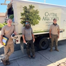 Capital Arborists Inc