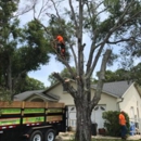 JAG Property Solutions - Tree Service