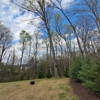 Grimmett Tree & Land Clearing gallery