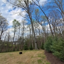 Grimmett Tree & Land Clearing - Tree Service
