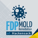 FDP Mold Remediation of Hackensack - Mold Remediation