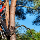 New Leaf Tree Service - Tree Service