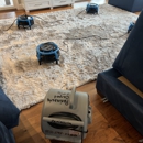 Peninsula Carpet and Tile Cleaning - Carpet & Rug Cleaners-Water Extraction