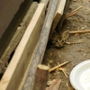 Morris Wildlife Control gallery