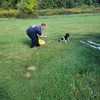K9 Doodie Patrol gallery
