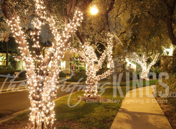 Christmas King Light Install Pros Laguna Niguel - Laguna Niguel, CA