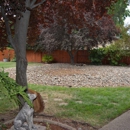 North Valley Tree Service - Tree Service