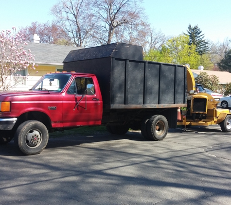 Torcasio Tree Service - Norwalk, CT