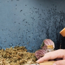 Country Side Pest Control - Pest Control Equipment & Supplies