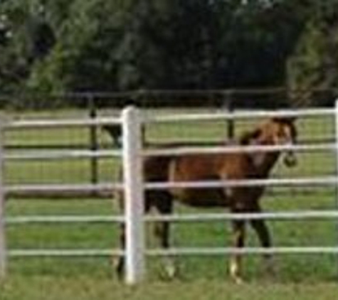 Jones Road Ranch - New Waverly, TX