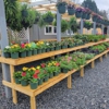 Triad Landscape Supply & Nursery gallery